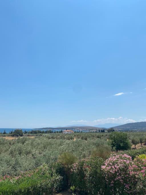 Georges Villa Galaxidi, Family, Pool And Garden Экстерьер фото