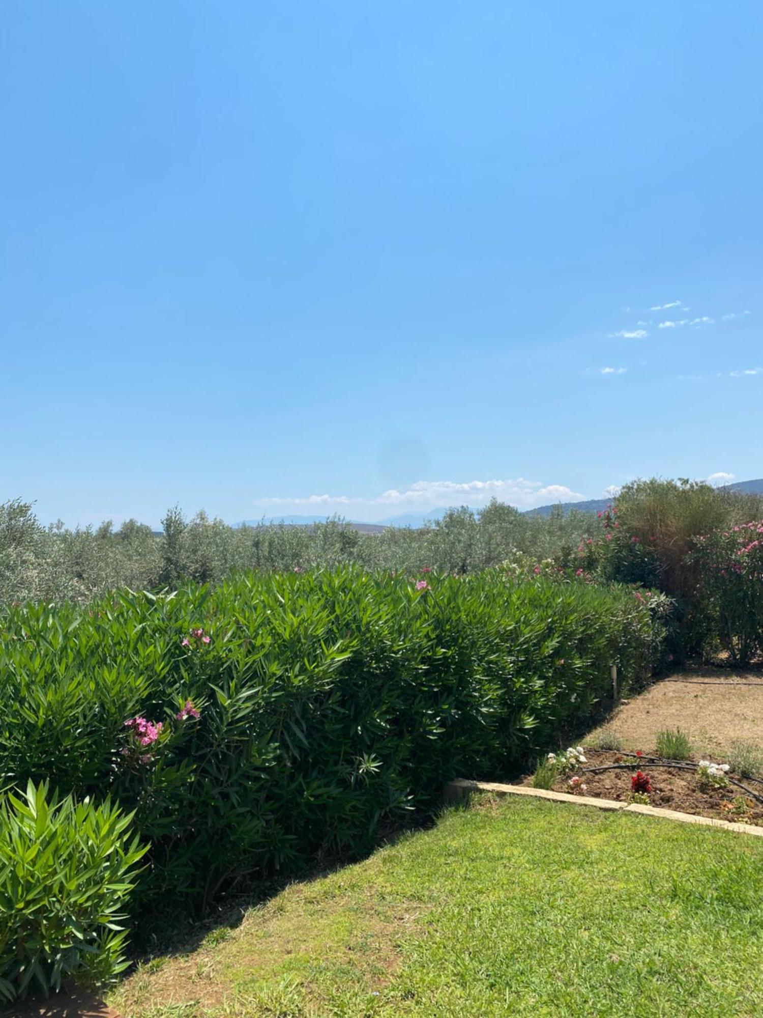 Georges Villa Galaxidi, Family, Pool And Garden Экстерьер фото