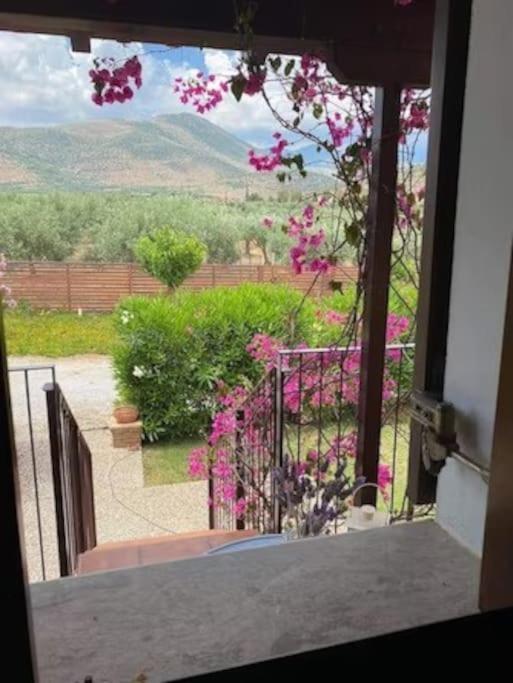Georges Villa Galaxidi, Family, Pool And Garden Экстерьер фото