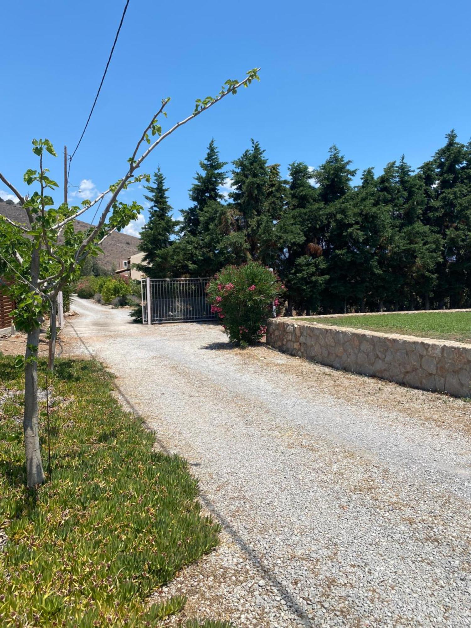 Georges Villa Galaxidi, Family, Pool And Garden Экстерьер фото